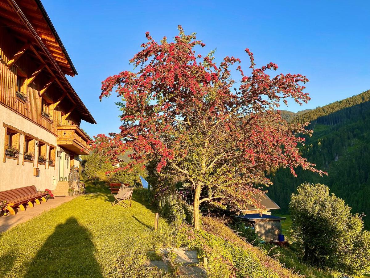Alm Seasons Premium Chalet & Studios Saalbach-Hinterglemm Exterior photo